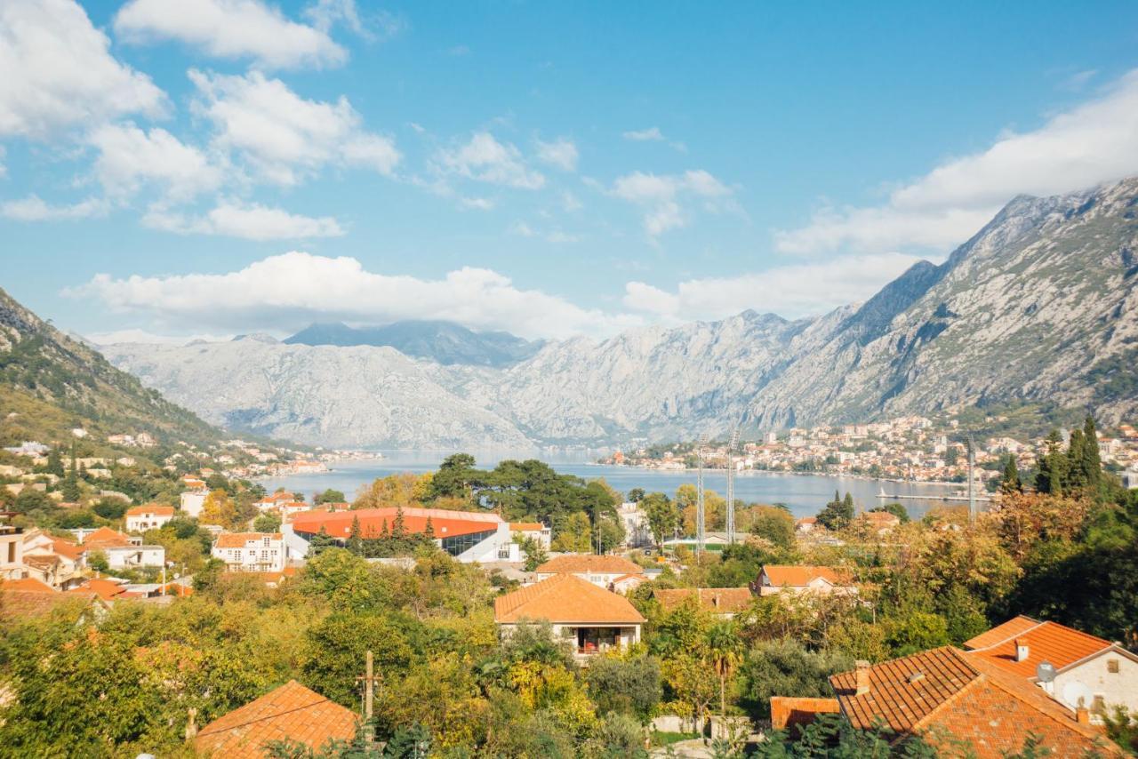 Sea View Apartment In Kotor ! Apartment Popica Exteriör bild